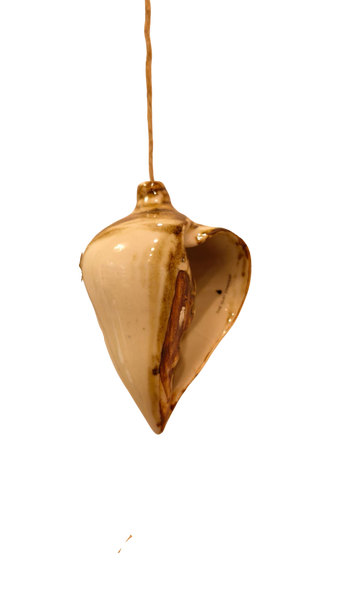 Conch - Per Piece