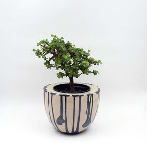 Hand painted planter Vase